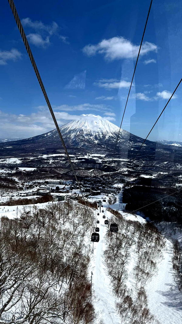 c.aitknight image ~ Altpins