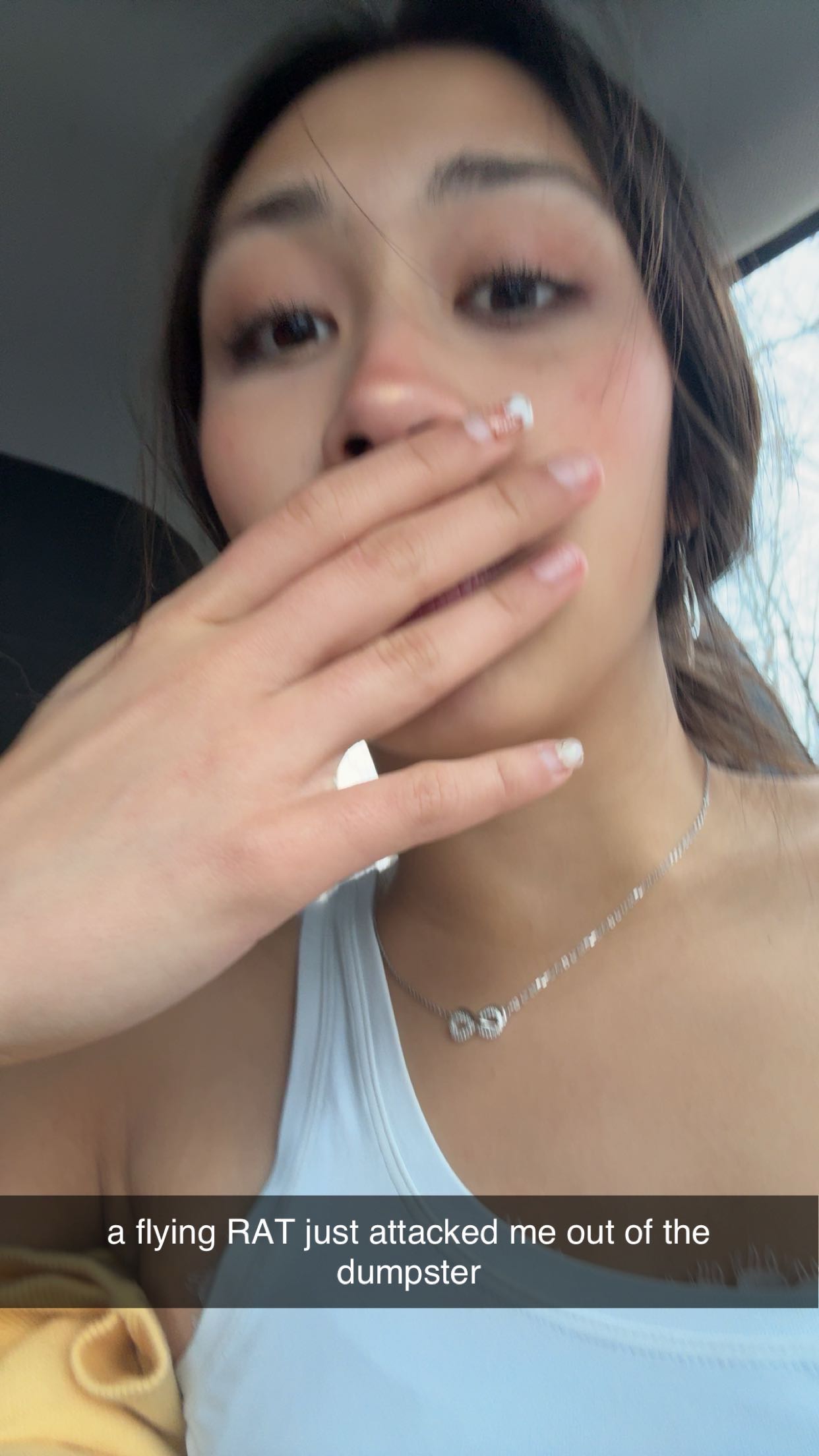 c.aitknight snapchat image archive image