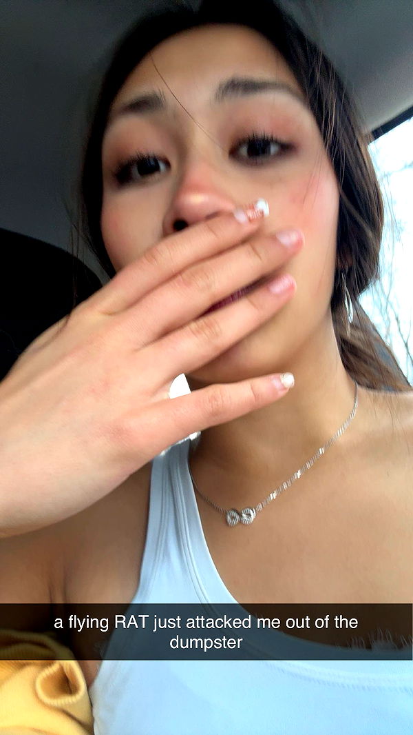 c.aitknight image ~ Altpins