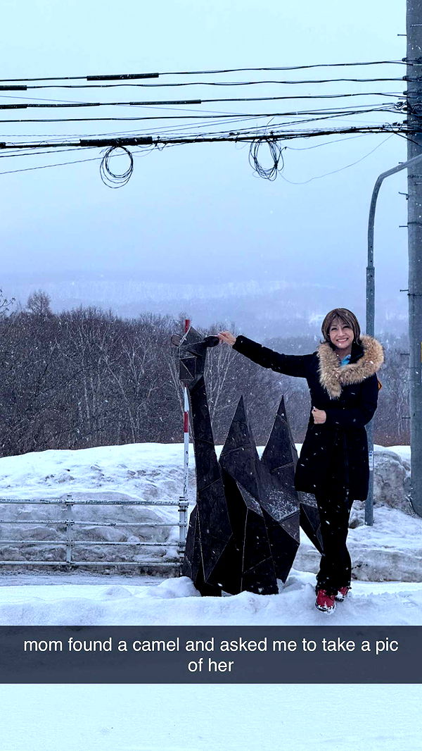 c.aitknight image ~ Altpins