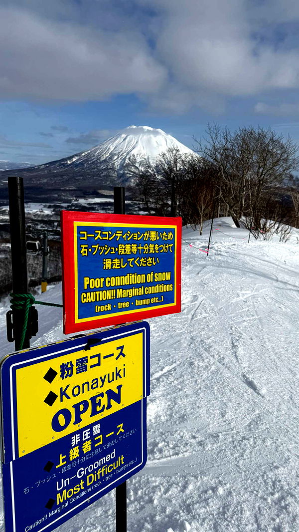 c.aitknight image ~ Altpins