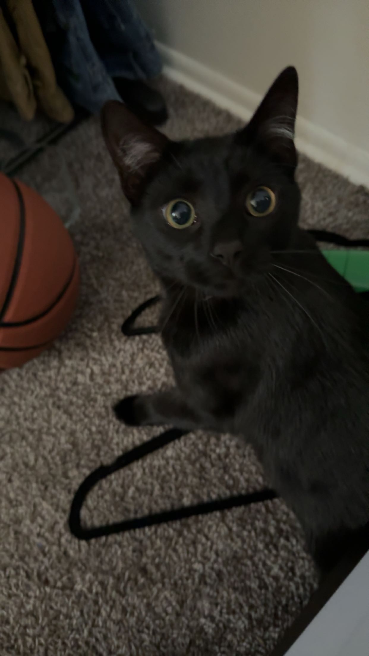 c.aitknight snapchat image archive image