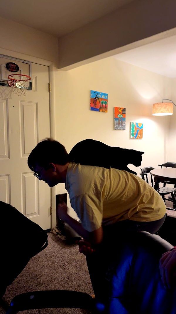 c.aitknight image ~ Altpins