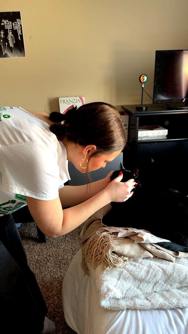 c.aitknight image ~ Altpins