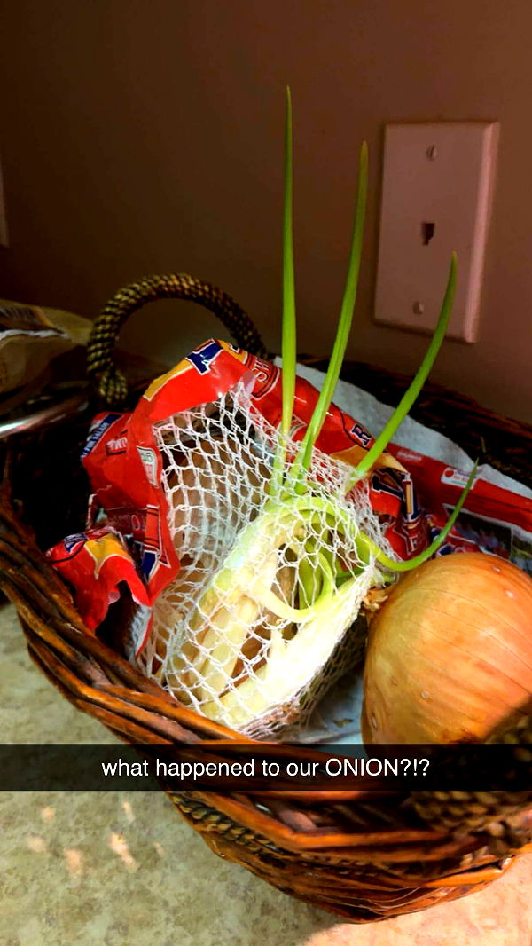 c.aitknight image ~ Altpins