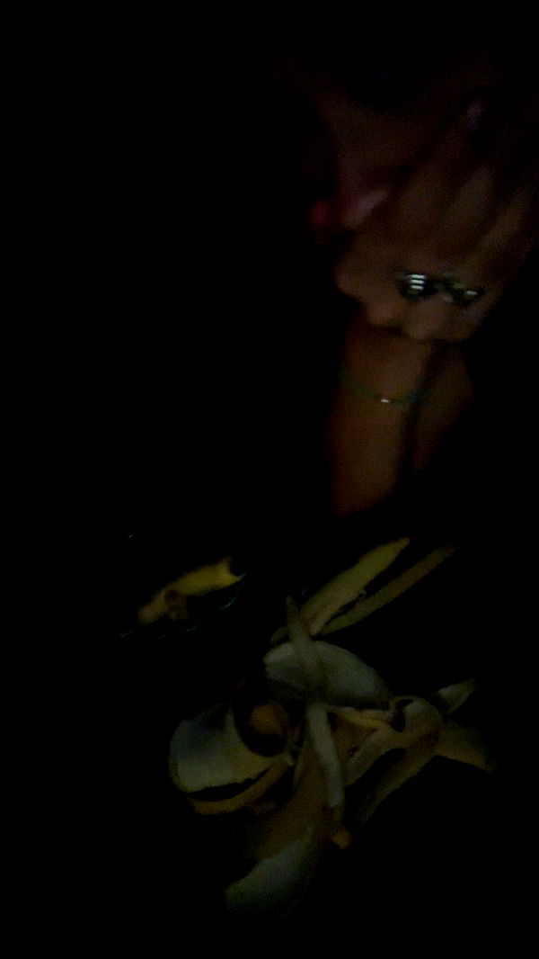 c.aitknight image ~ Altpins