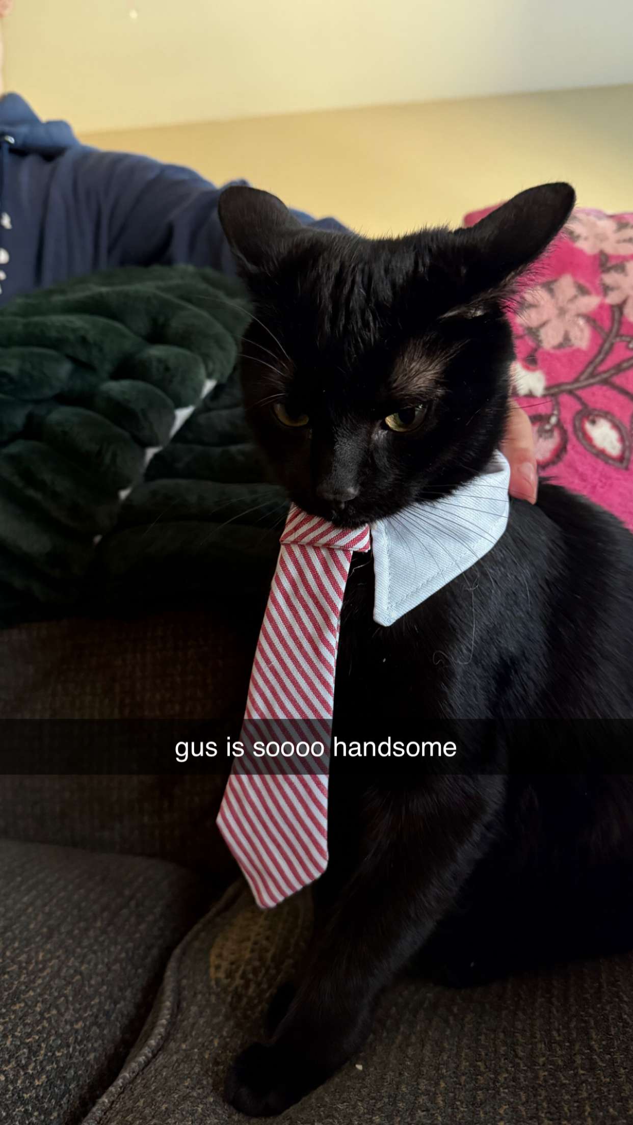 c.aitknight snapchat image archive image