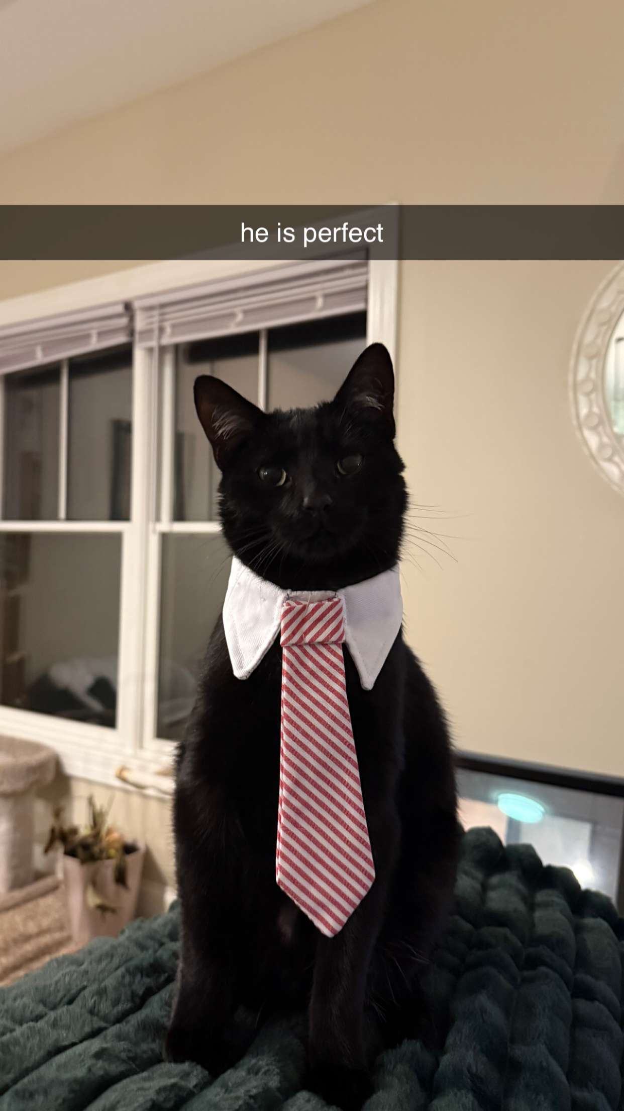 c.aitknight snapchat image archive image