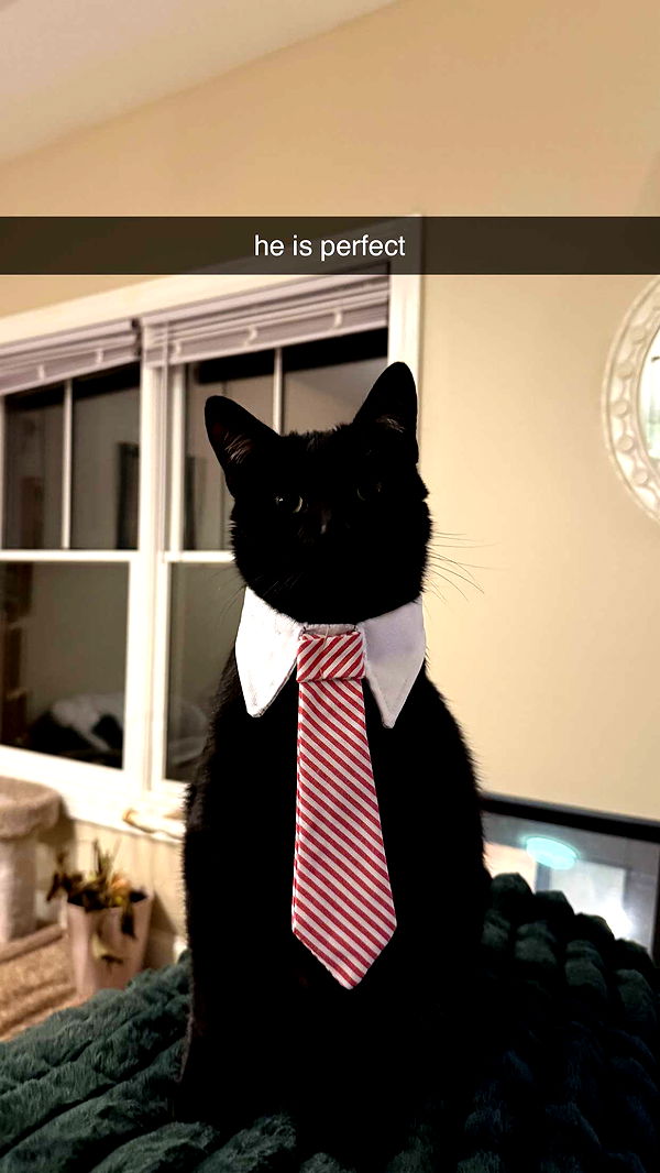 c.aitknight image ~ Altpins