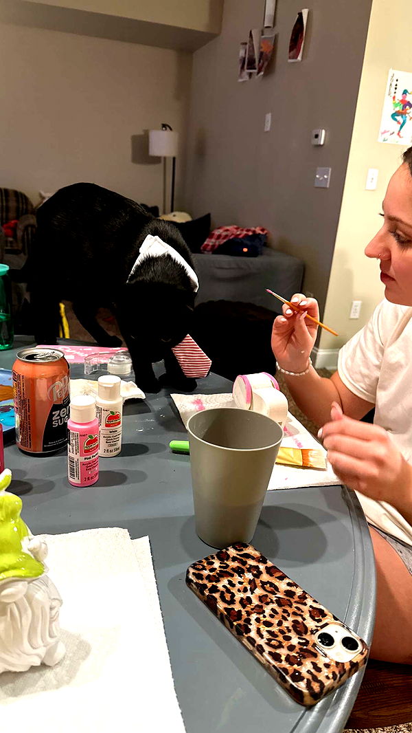 c.aitknight image ~ Altpins