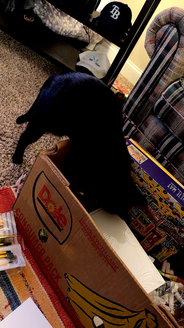 c.aitknight image ~ Altpins