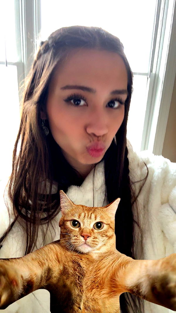 c.aitknight image ~ Altpins