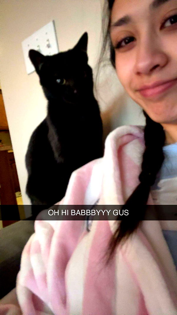 c.aitknight image ~ Altpins