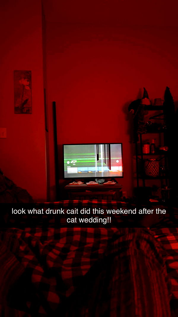 c.aitknight image ~ Altpins