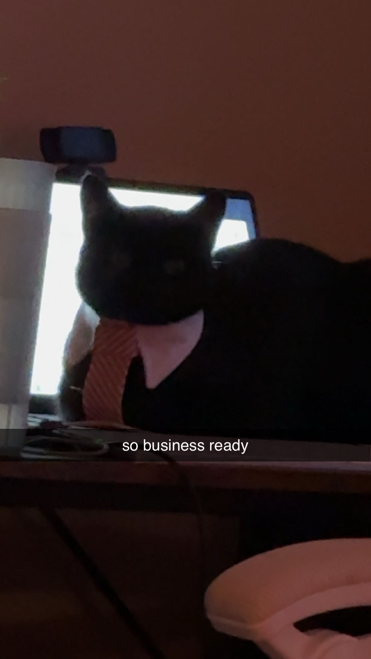 c.aitknight snapchat image archive image