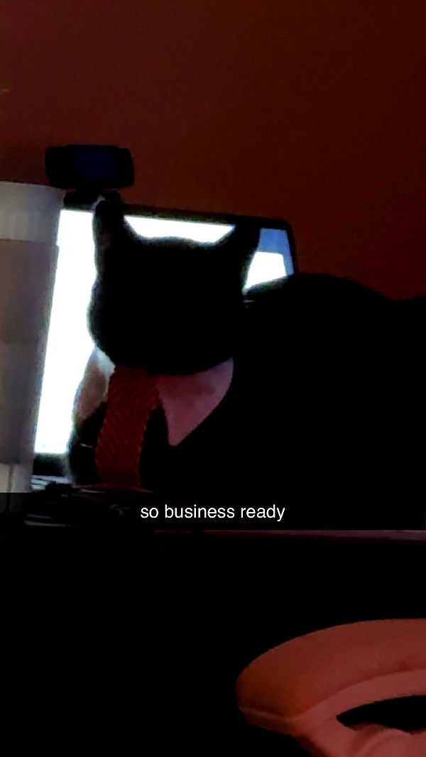 c.aitknight image ~ Altpins