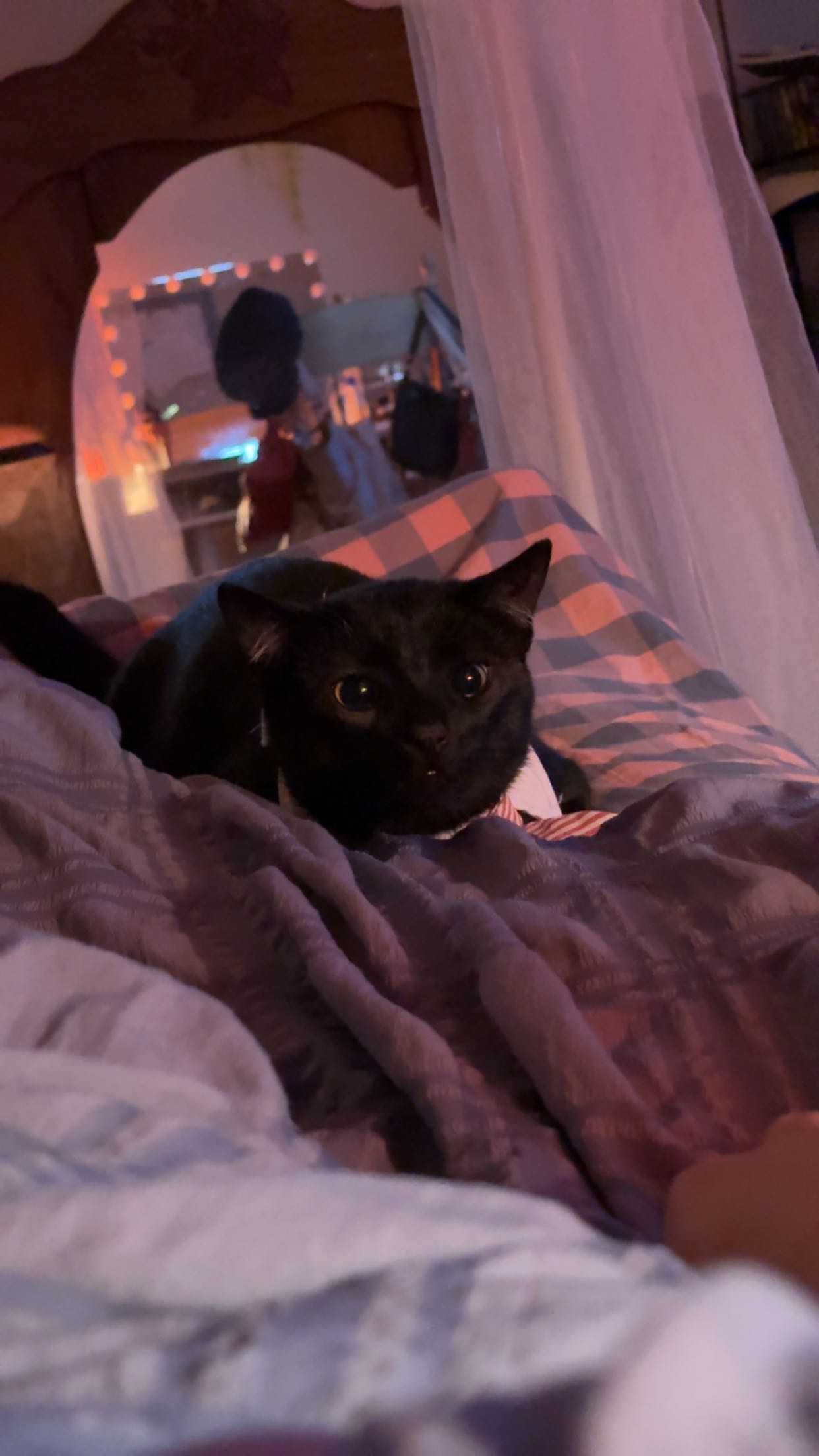 c.aitknight snapchat image archive image