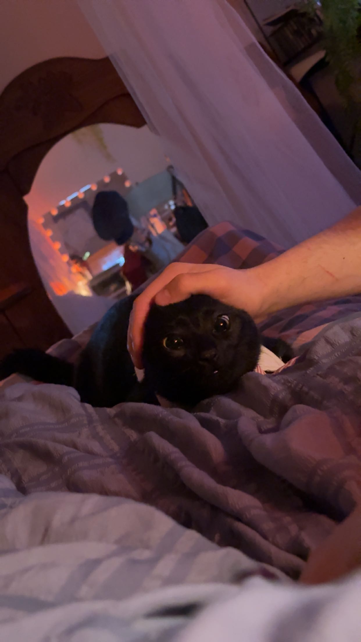 c.aitknight snapchat image archive image