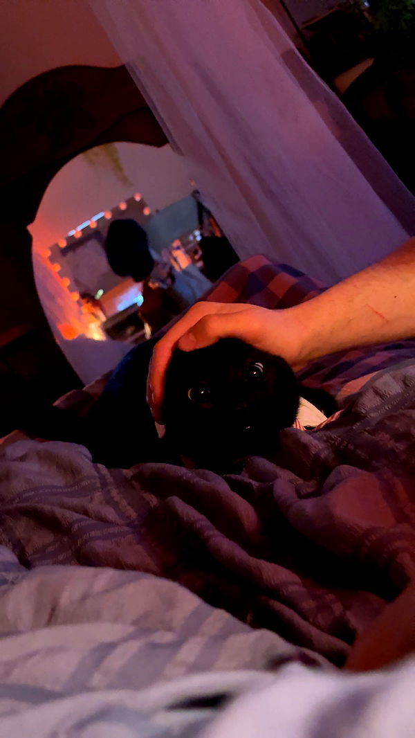 c.aitknight image ~ Altpins