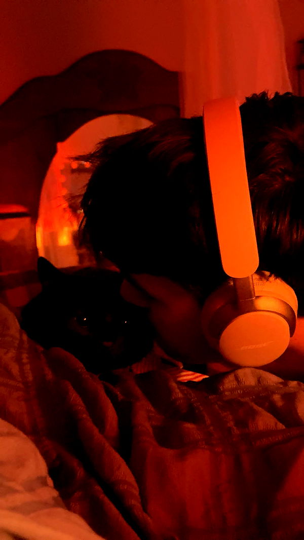 c.aitknight image ~ Altpins