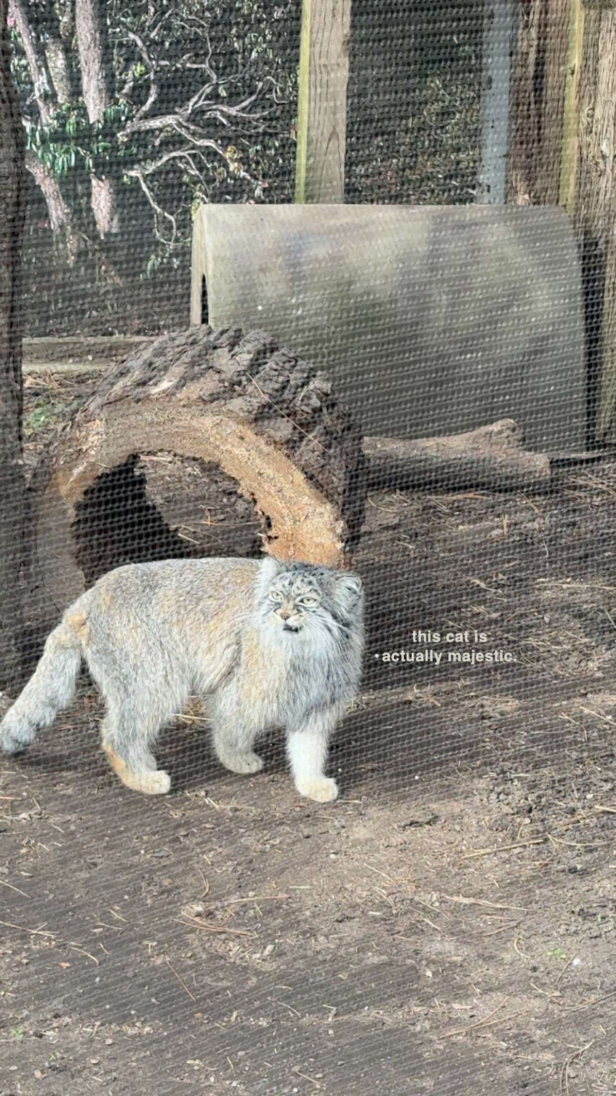 c.aitknight snapchat image archive image