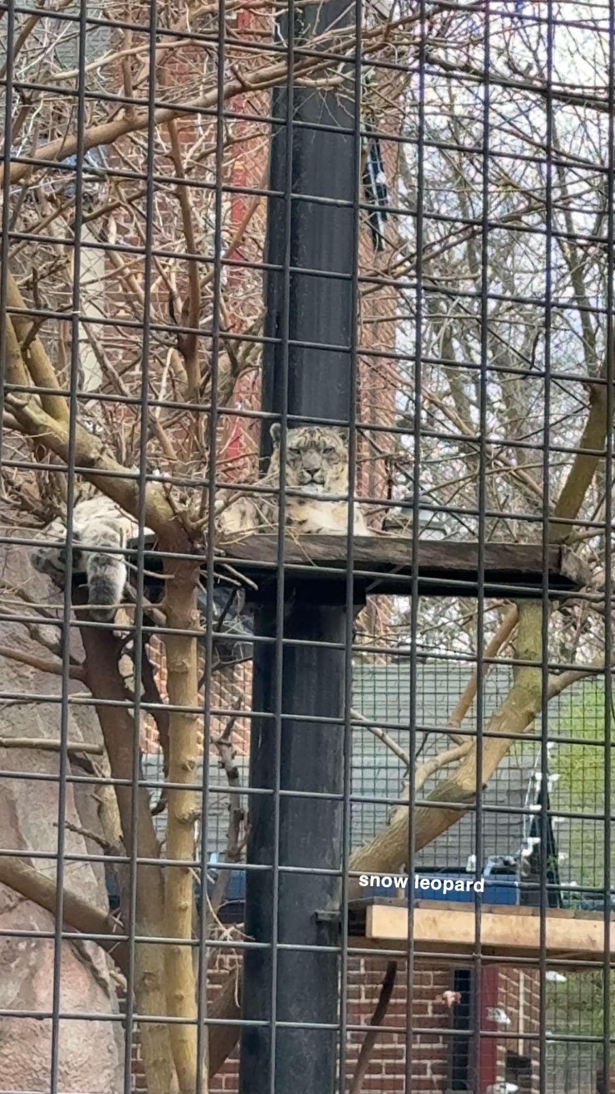 c.aitknight snapchat image archive image