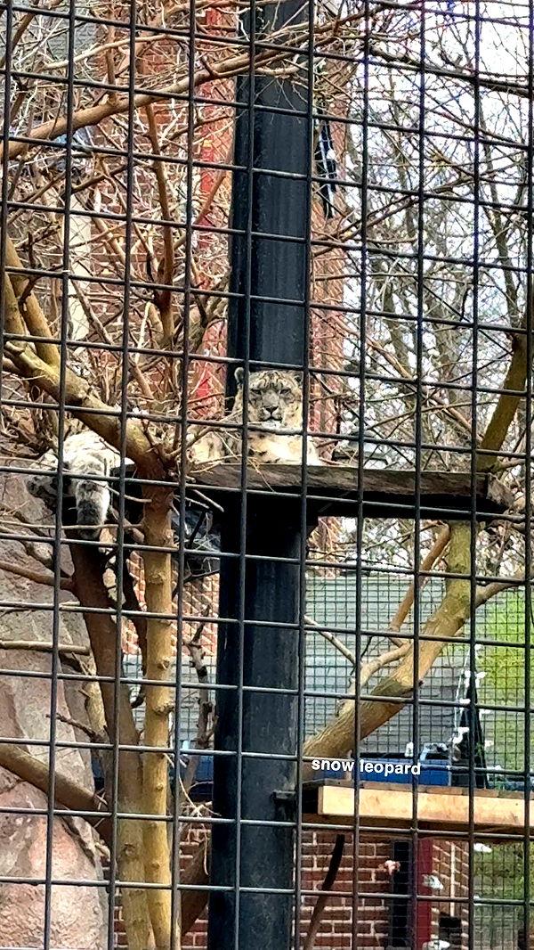 c.aitknight image ~ Altpins