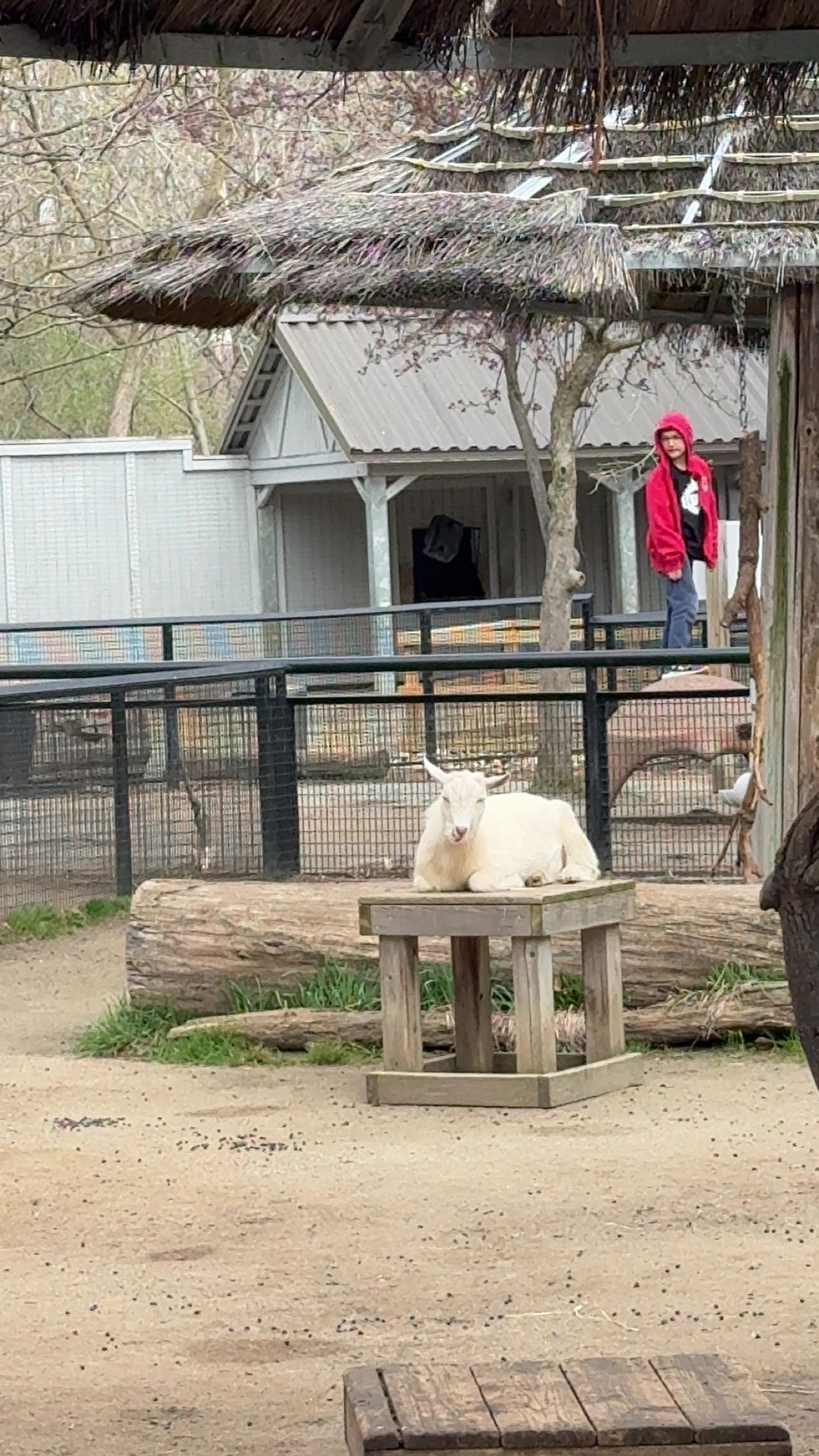 c.aitknight snapchat image archive image