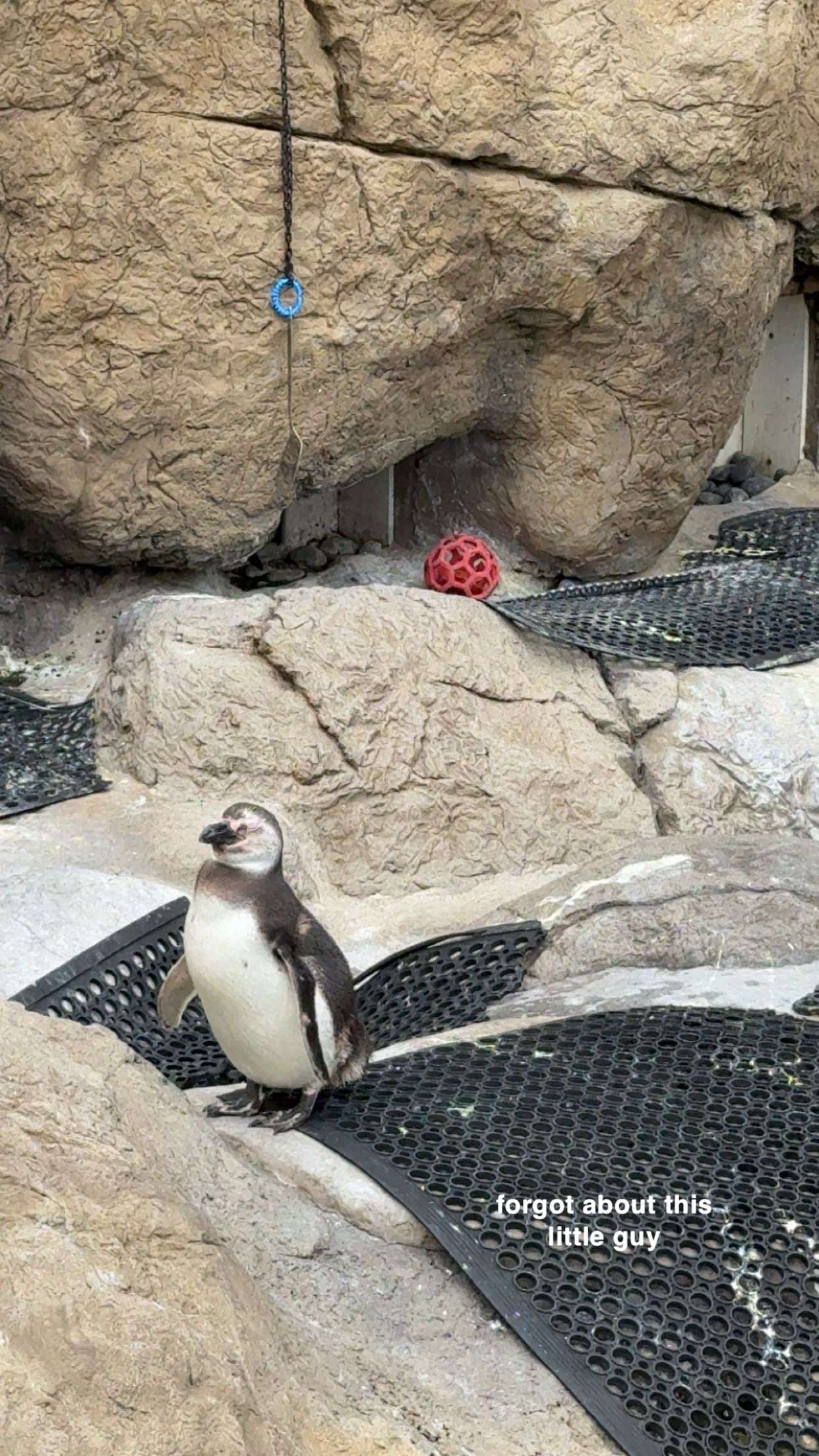 c.aitknight snapchat image archive image