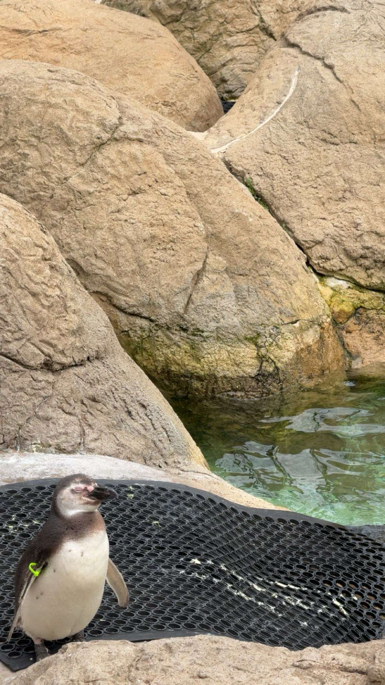 c.aitknight snapchat image archive image