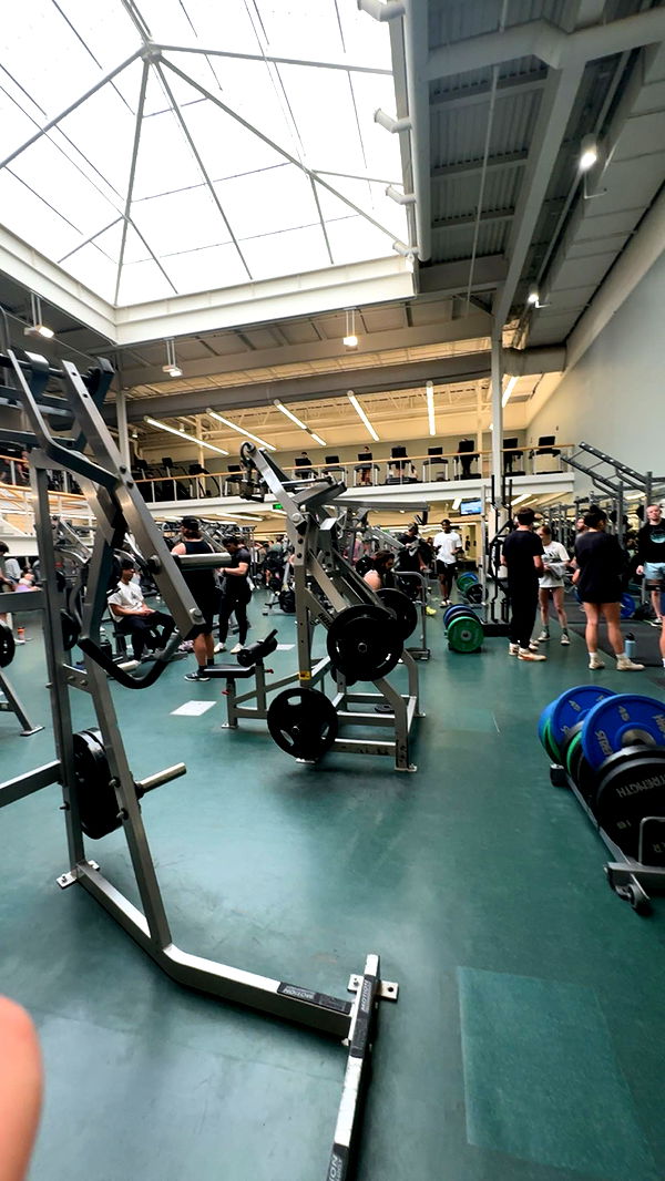 c.aitknight image ~ Altpins