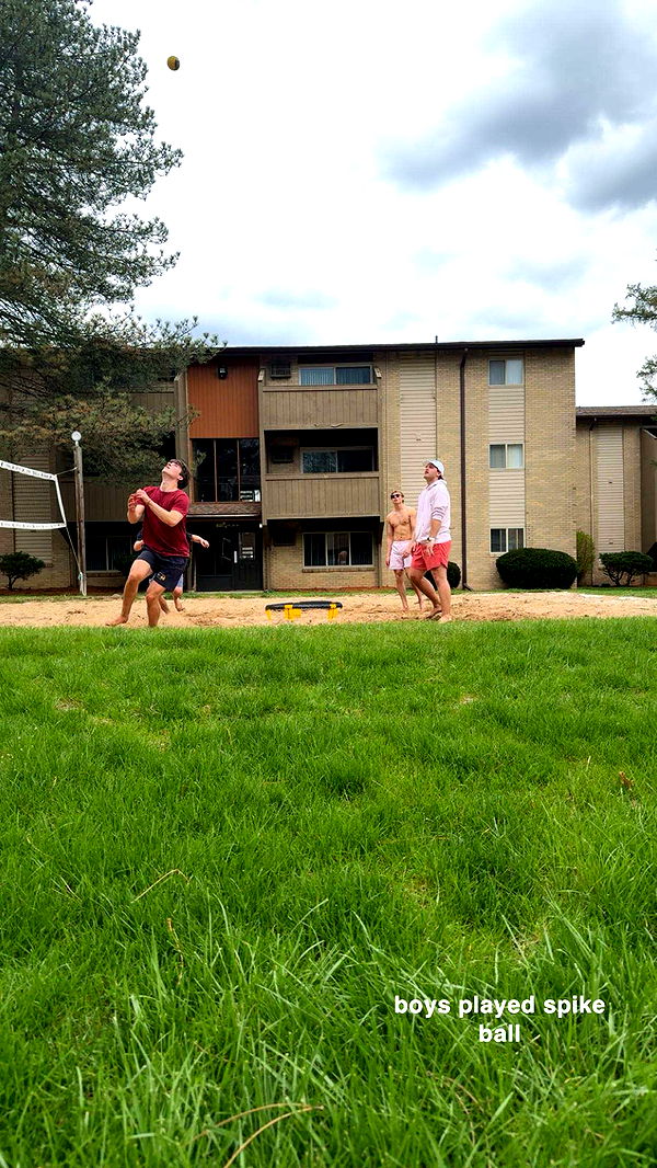 c.aitknight image ~ Altpins