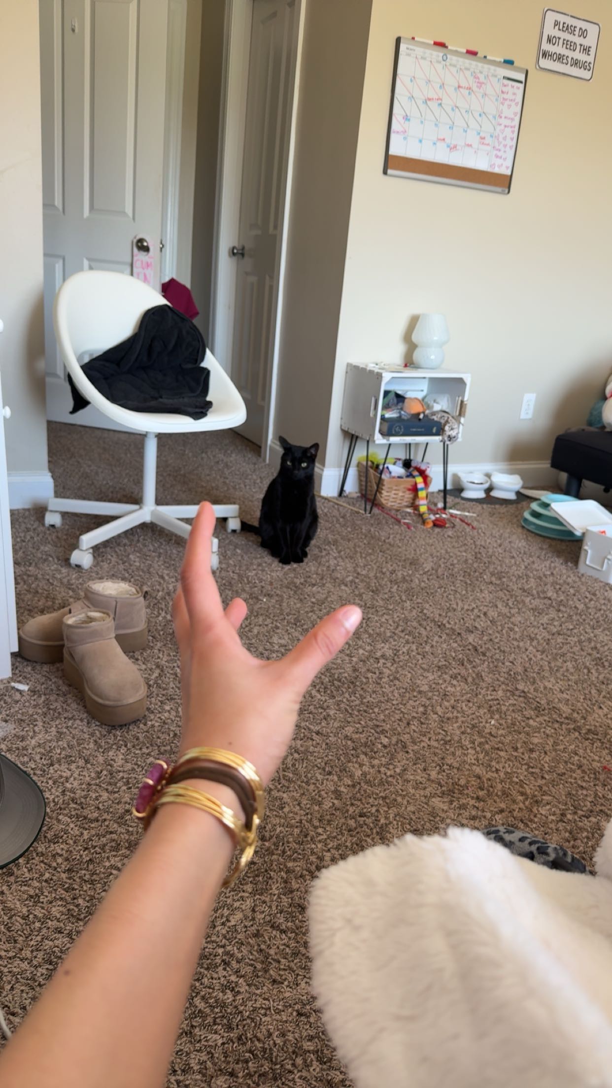 c.aitknight snapchat image archive image