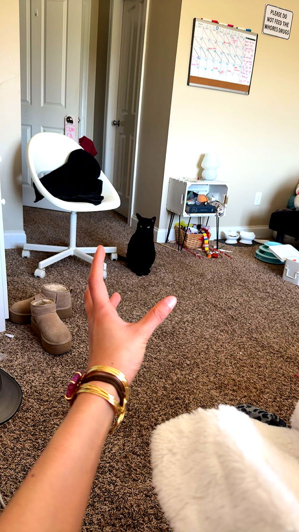 c.aitknight image ~ Altpins