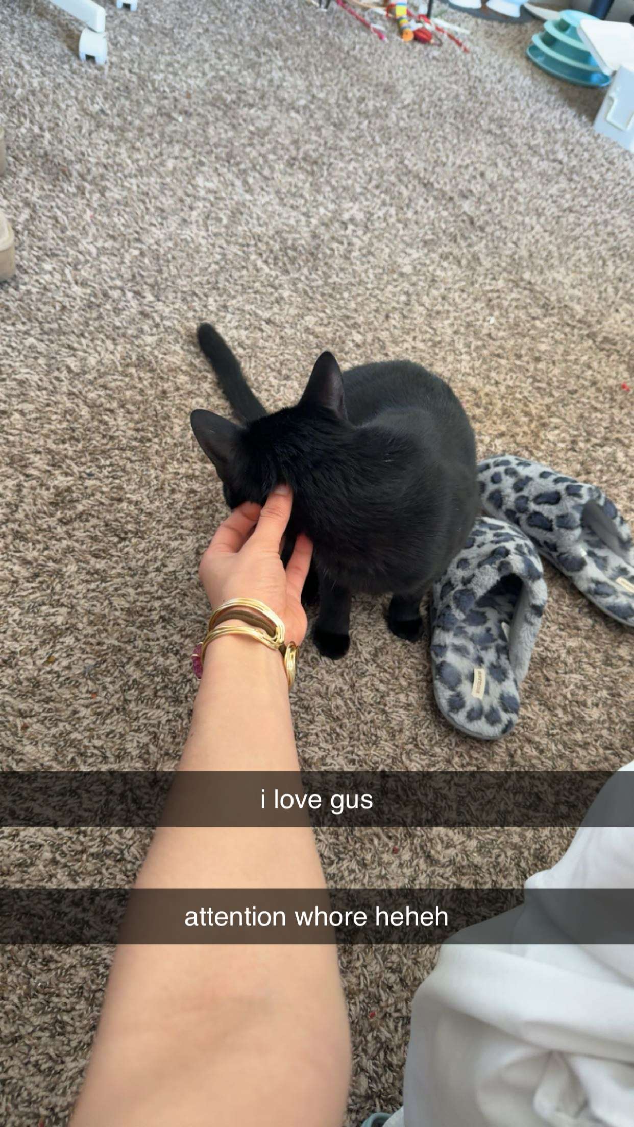 c.aitknight snapchat image archive image