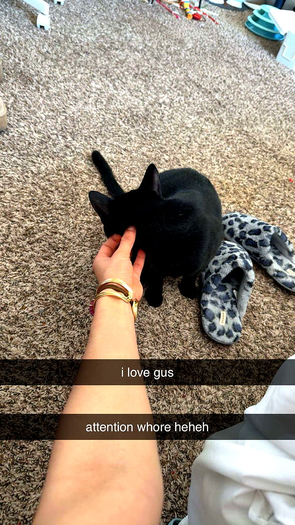 c.aitknight image ~ Altpins