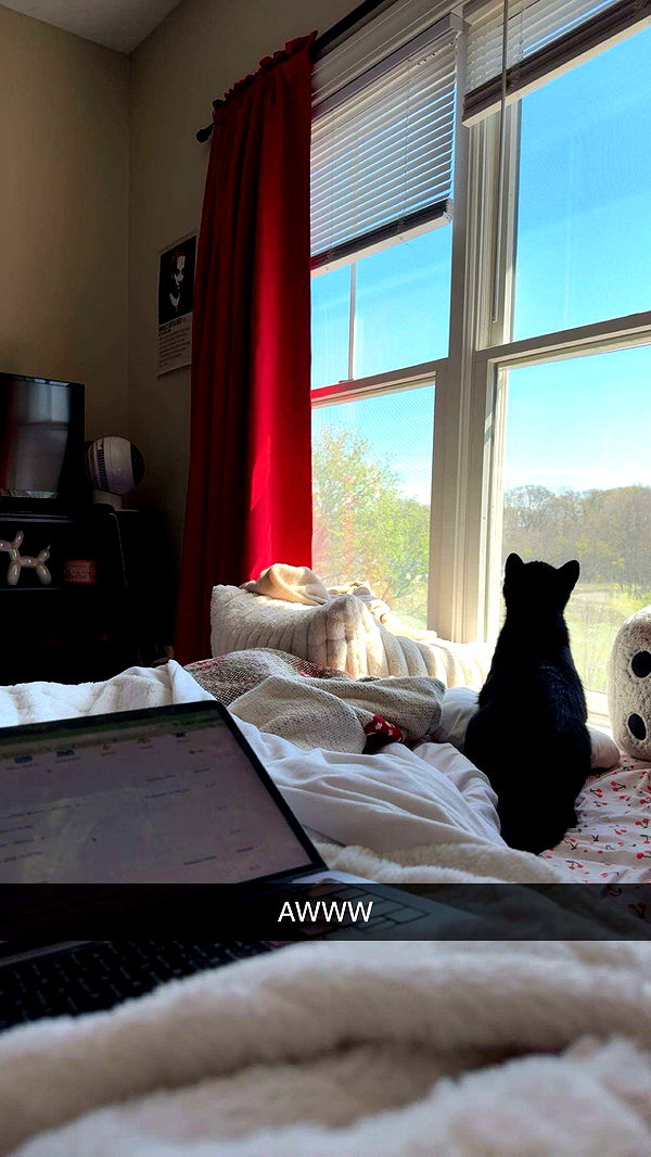 c.aitknight image ~ Altpins