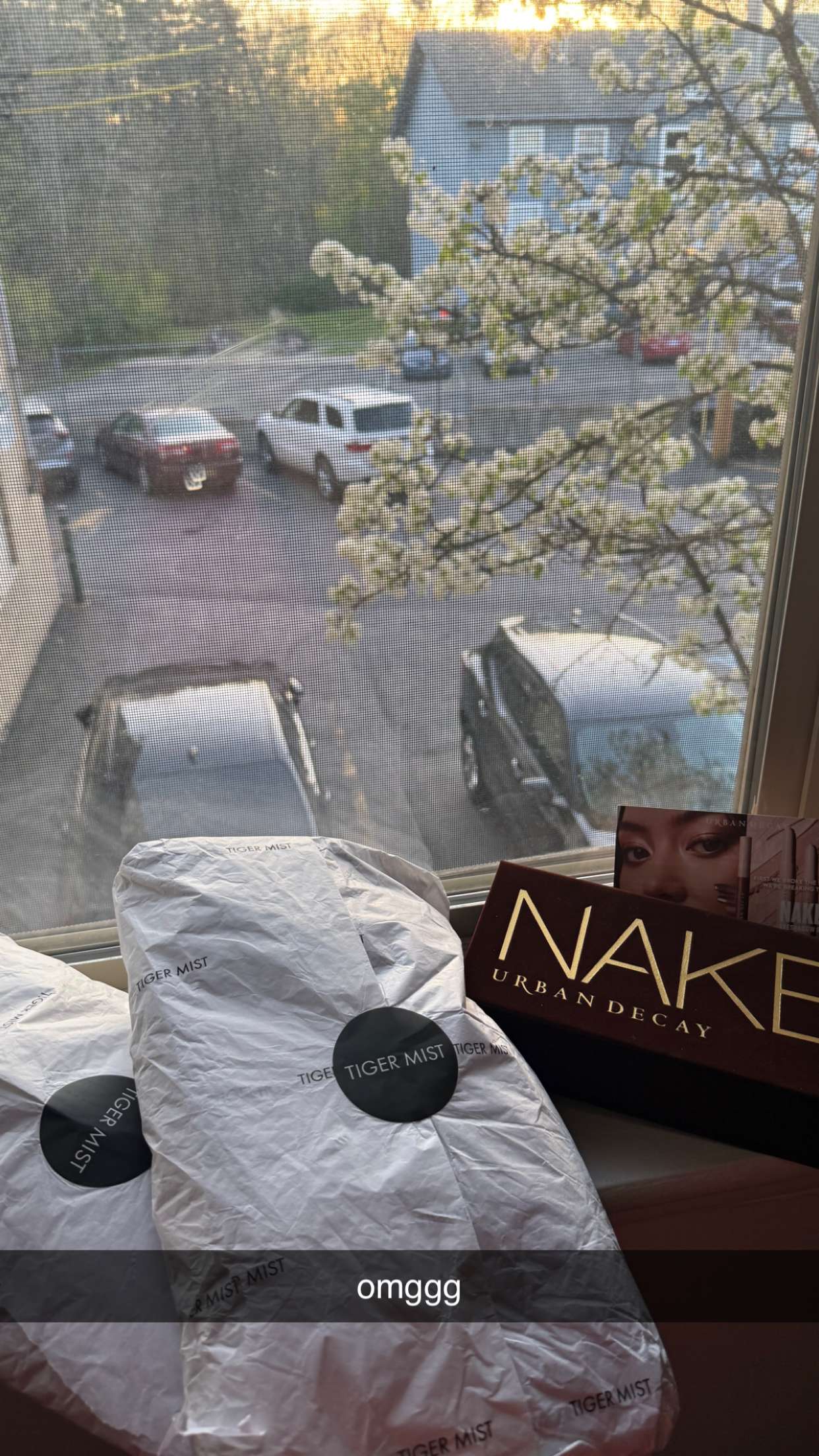 c.aitknight snapchat image archive image