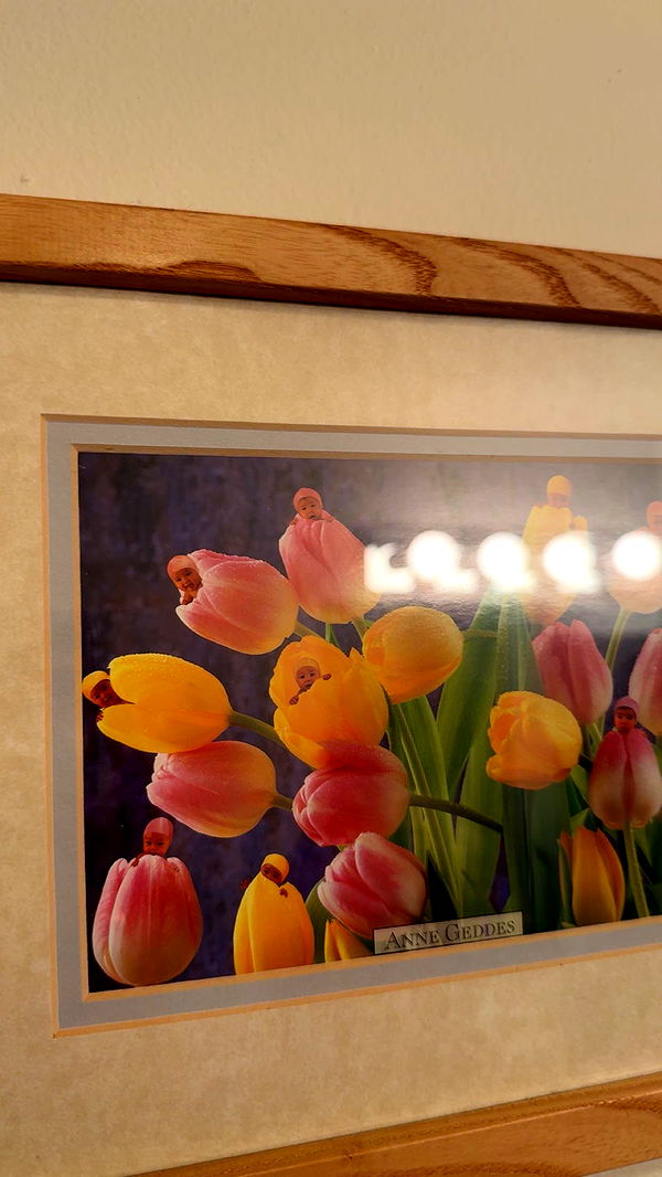 c.aitknight image ~ Altpins