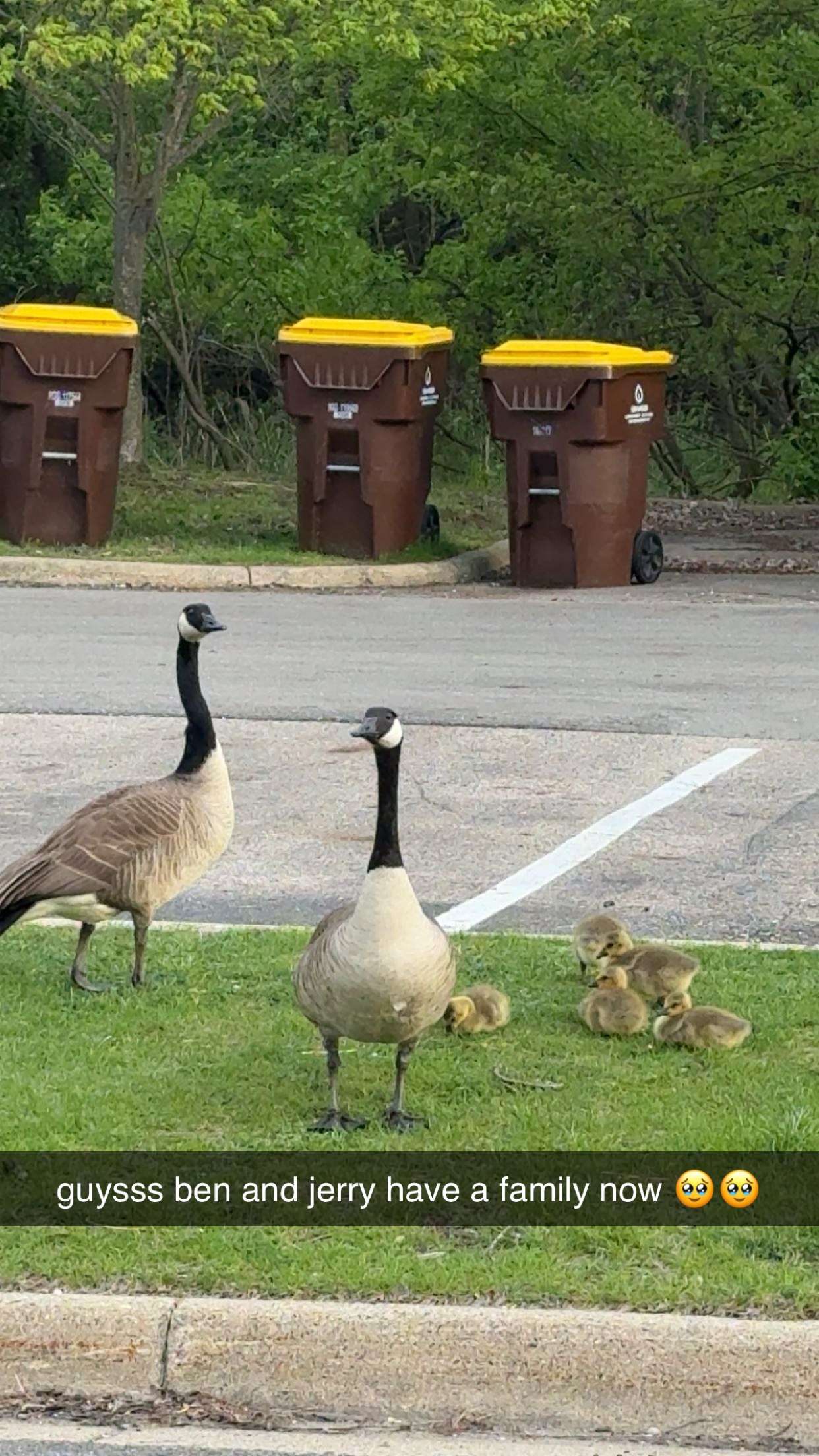 c.aitknight snapchat image archive image