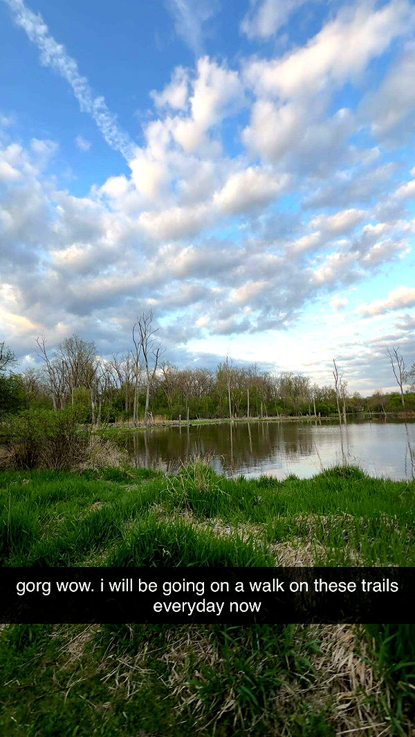 c.aitknight image ~ Altpins