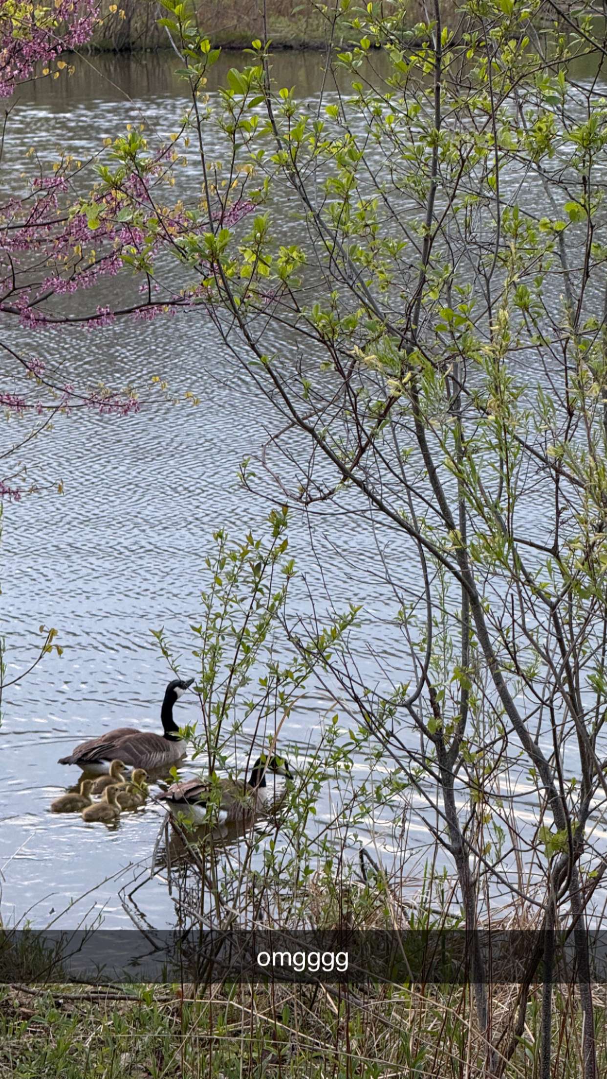 c.aitknight snapchat image archive image