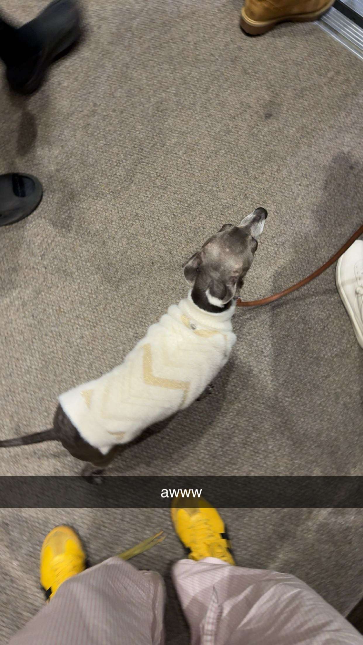 c.aitknight snapchat image archive image