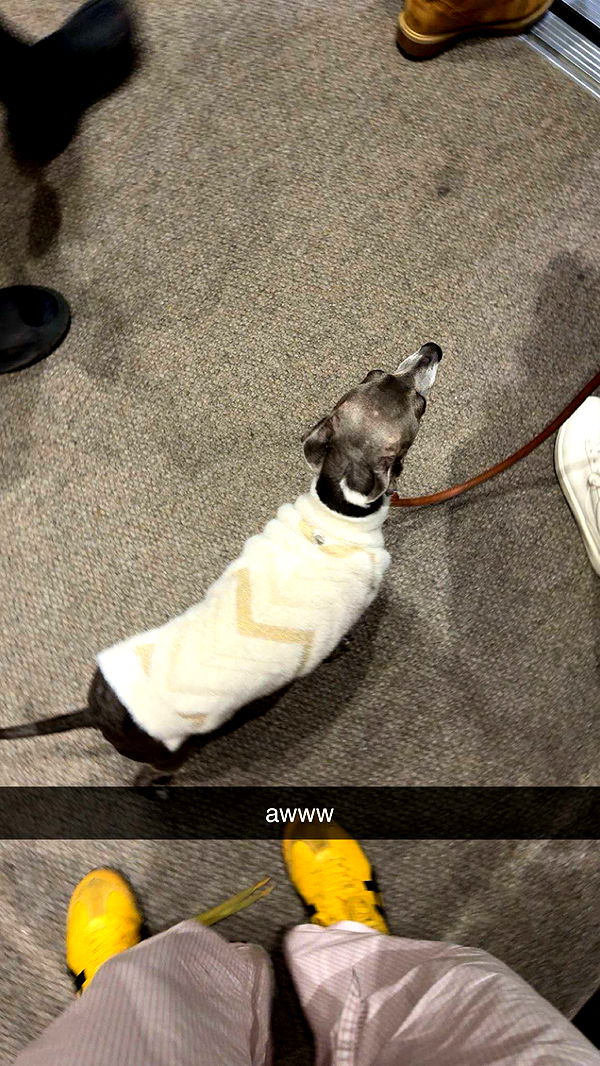 c.aitknight image ~ Altpins