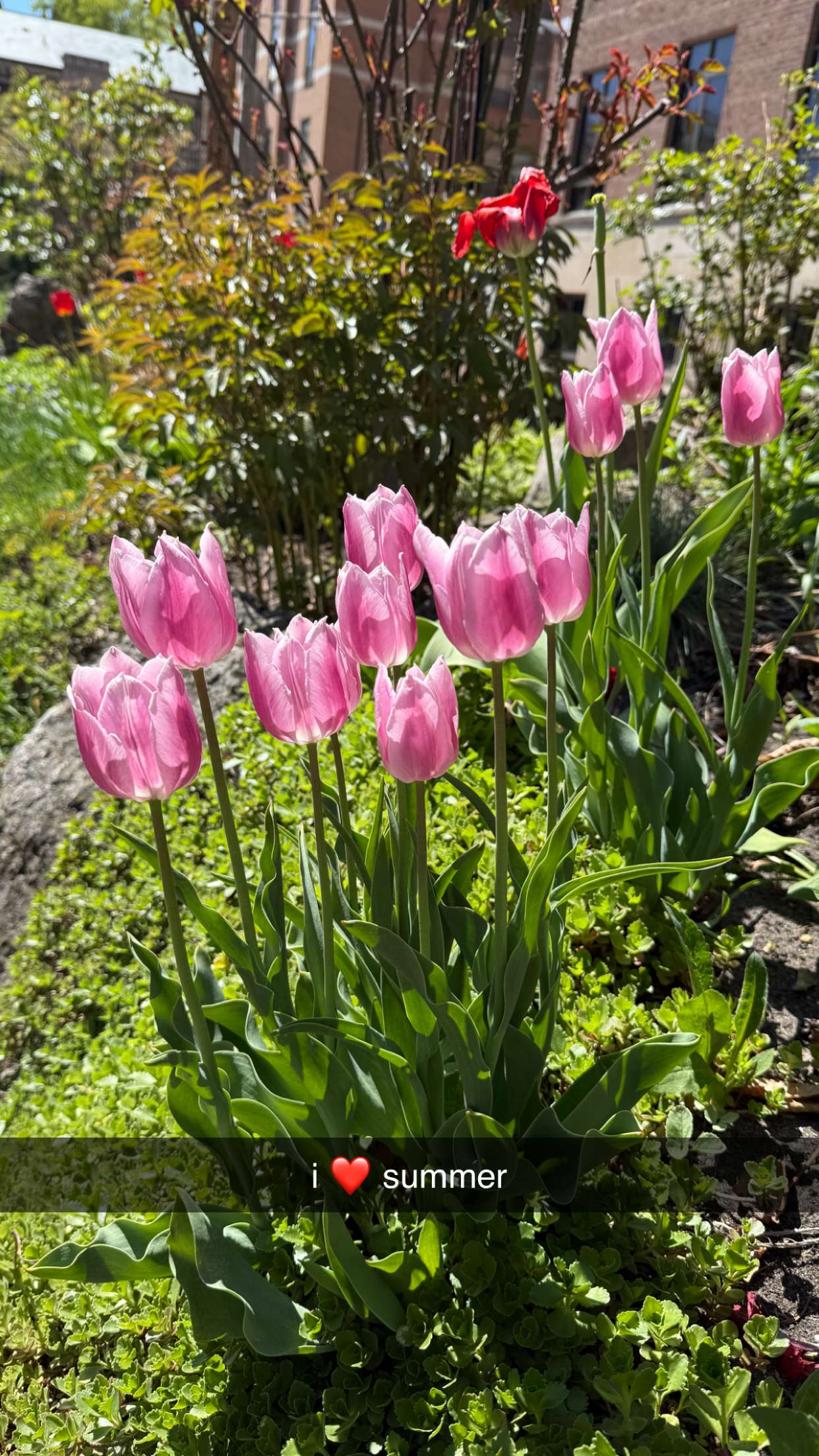 c.aitknight snapchat image archive image