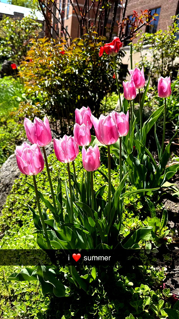 c.aitknight image ~ Altpins