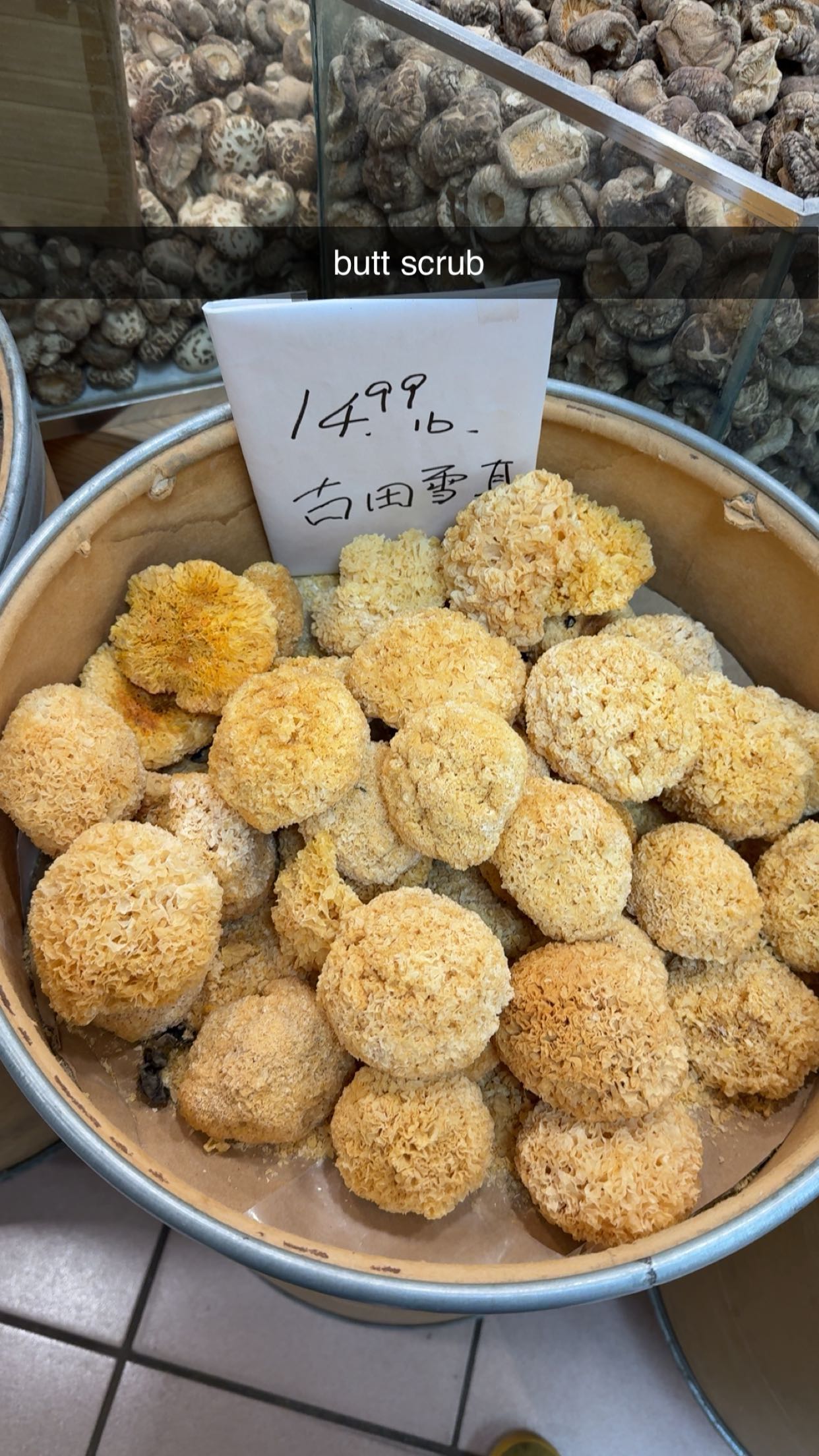 c.aitknight snapchat image archive image