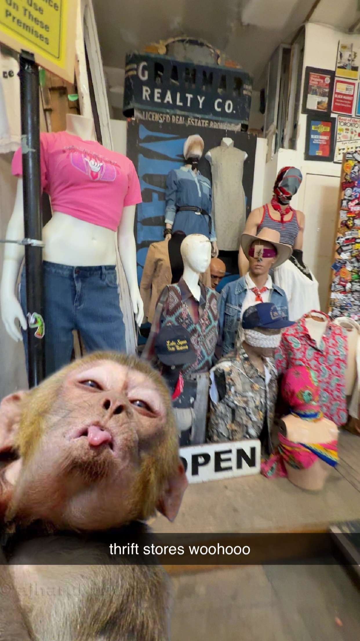 c.aitknight snapchat image archive image