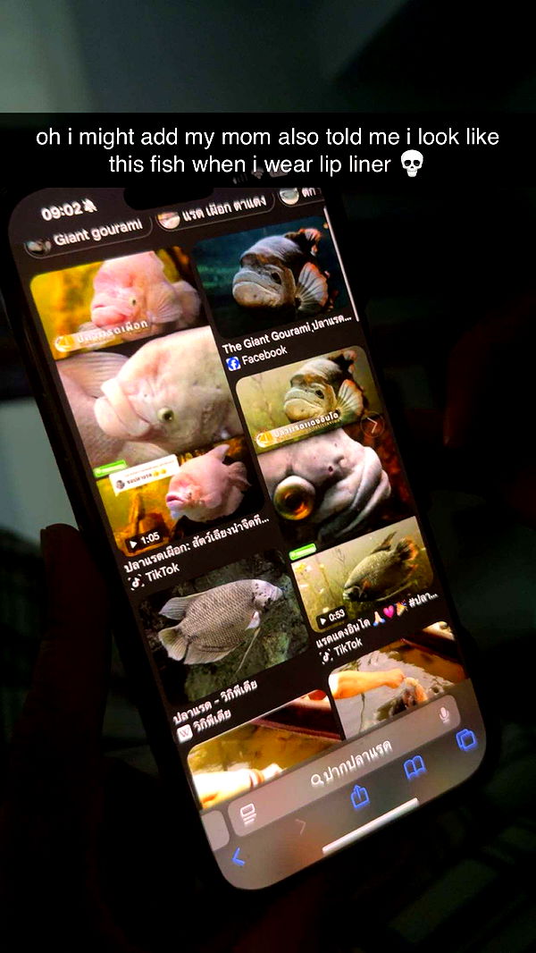 c.aitknight image ~ Altpins