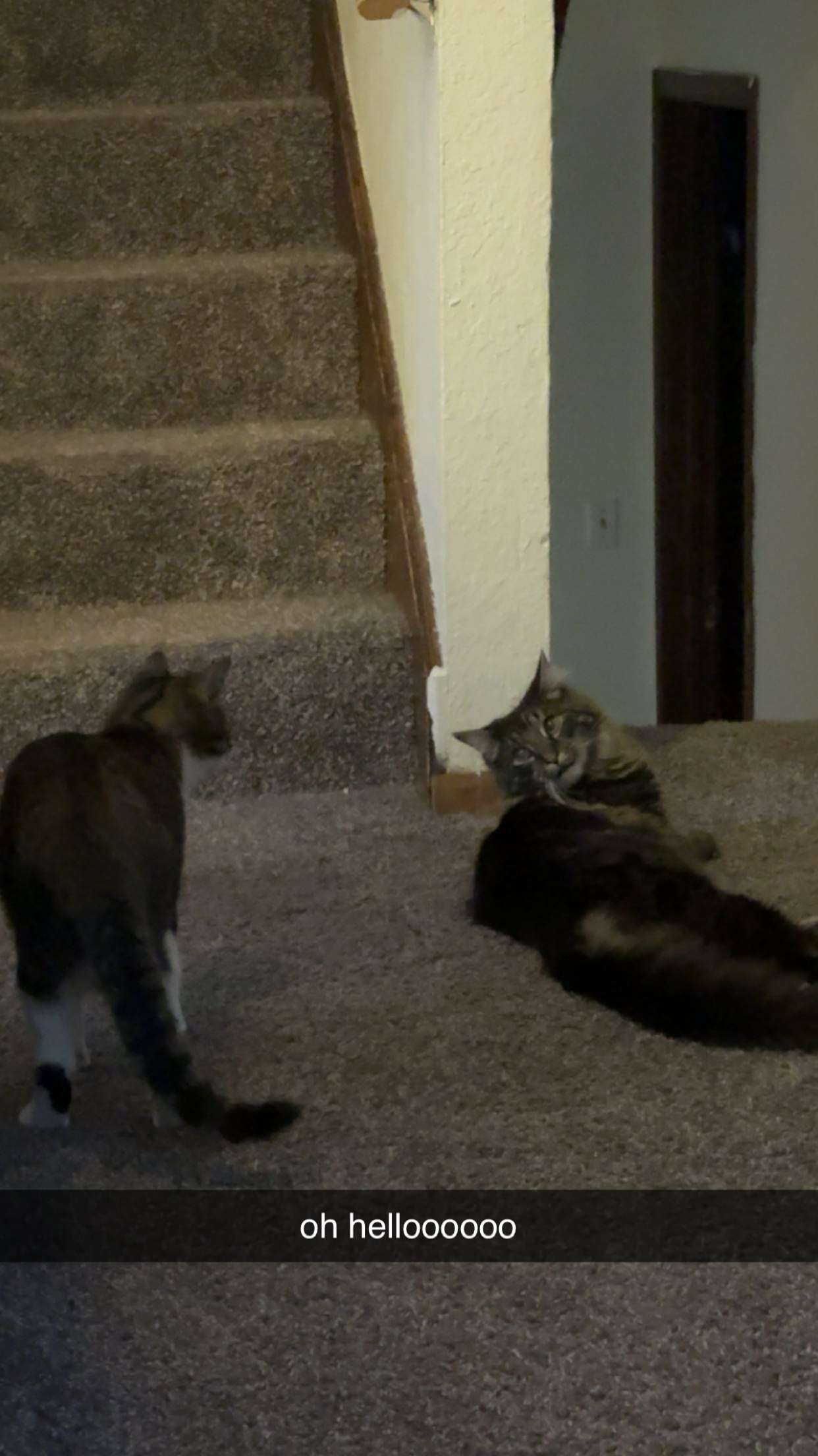 c.aitknight snapchat image archive image